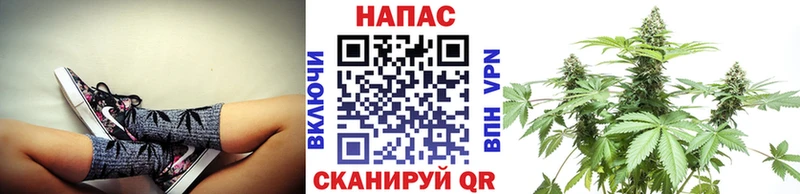 Шишки марихуана тримм Саки